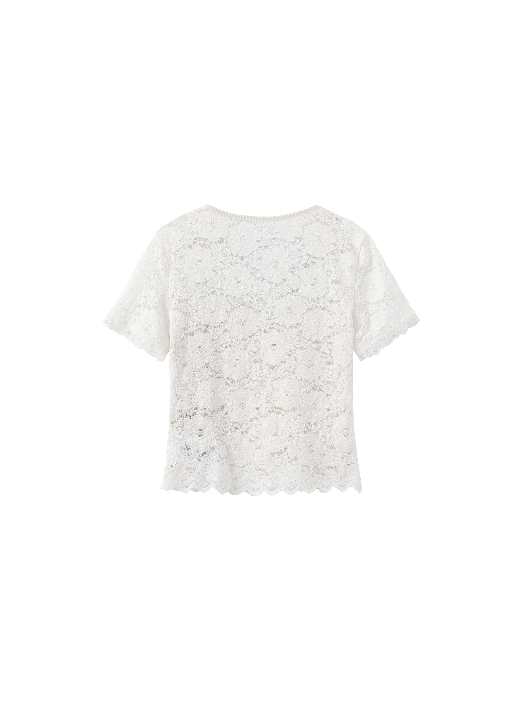 V-Neck Lace Short-Sleeve T-Shirt-8