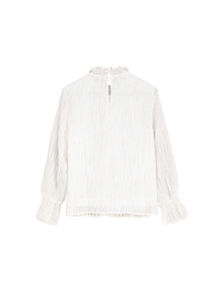 Stand Up Collar Ruffled Blouse