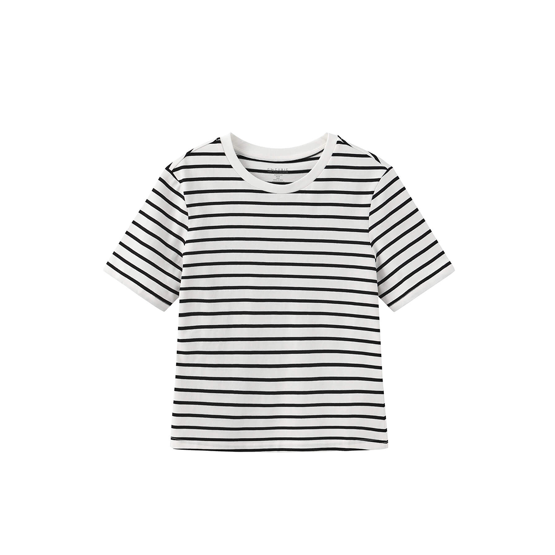 C by CUBIC Striped Basic Cotton T-Shirt-15